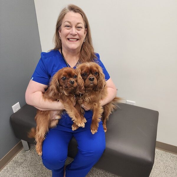 Dr. Emily Evans Dr. Emily Evans